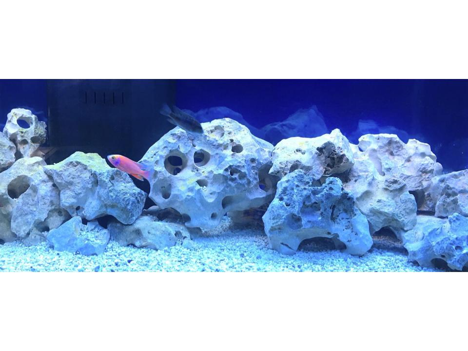 Holey Rock Products, Aquarium Fish Tank Rocks