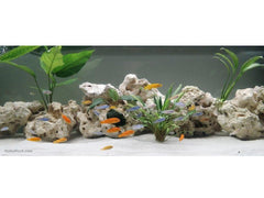 120 lbs. of MEDIUM Size Texas Holey Rock - FREE SHIPPING