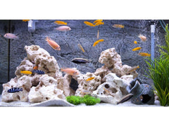 45 lbs. of SMALL Size Texas Holey Rock - FREE SHIPPING
