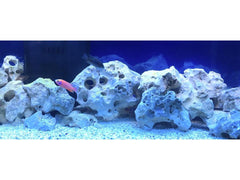120 lbs. of MEDIUM Size Texas Holey Rock - FREE SHIPPING