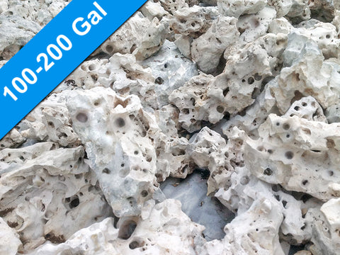 180 lbs. of MEDIUM Size Texas Holey Rock - FREE SHIPPING