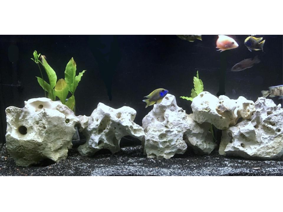 Holey Rock Products, Aquarium Fish Tank Rocks