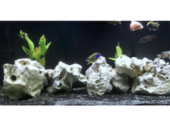 90 lbs. of MEDIUM Size Texas Holey Rock - FREE SHIPPING